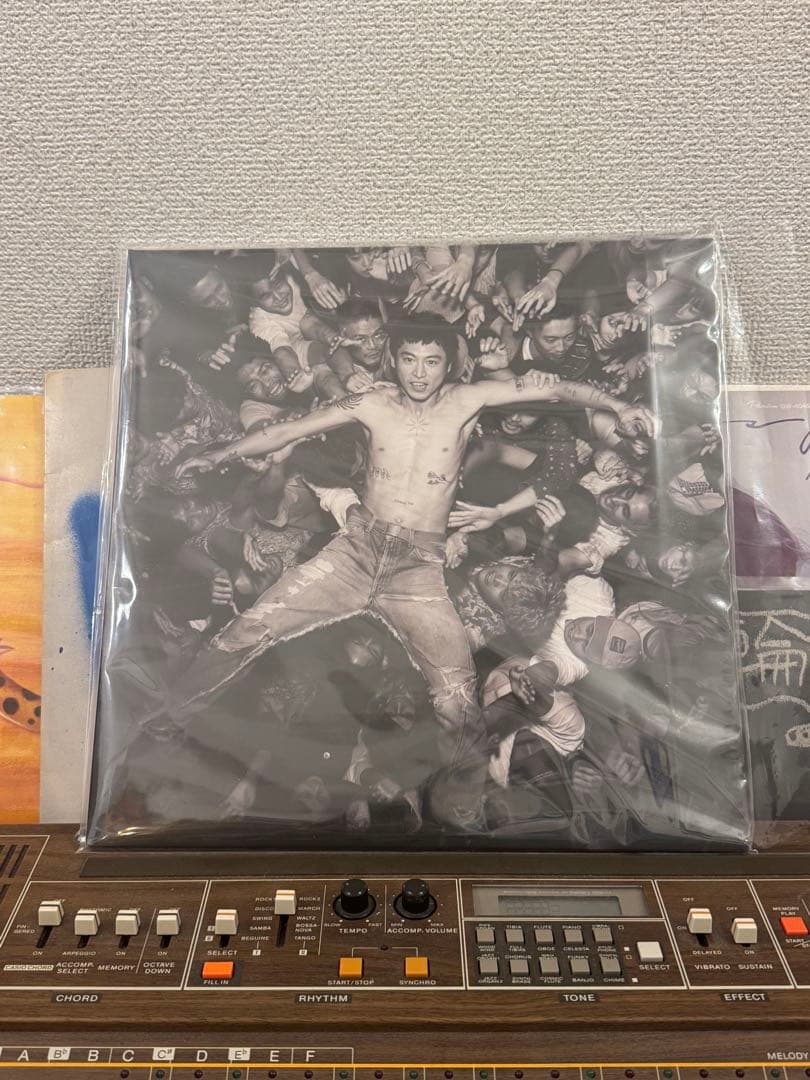 踊ってばかりの国 paradise review LP レコード