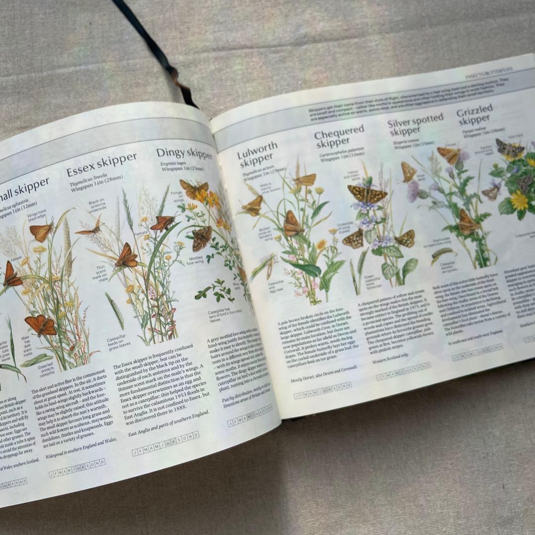 【ヴィンテージ洋書】植物図鑑　英語図鑑　アンティーク　古本　ジャンクジャーナル