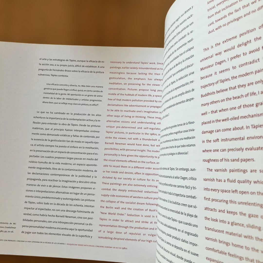 アントニ・タピエス洋書図録と 原美術館 「スペインの巨人 熱き絵画の挑戦」