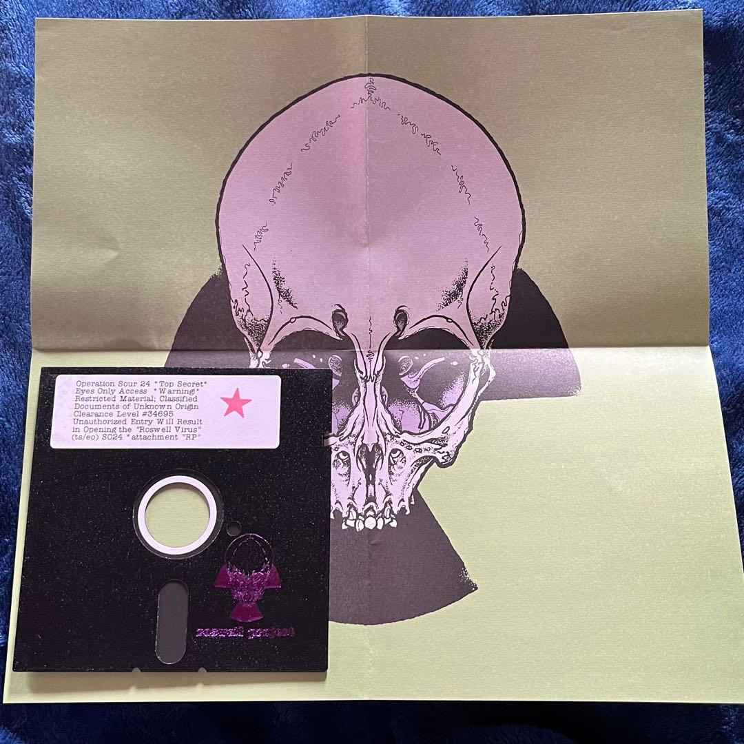 パスヘッド Roswell Project レコード ブラウンスリーブ