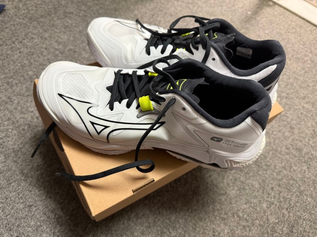 Mizuno Wave Lightning Z8 ミズノ　バレーシューズ