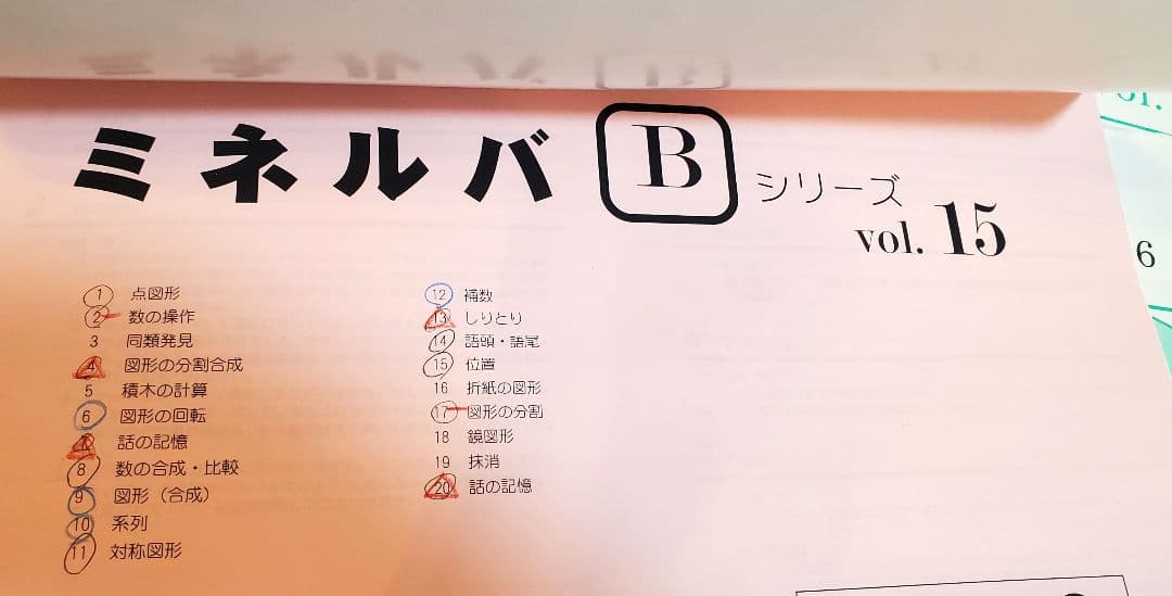 小学校受験問題集【ミネルバB】ミネルバ問題集15～22 復習用付き