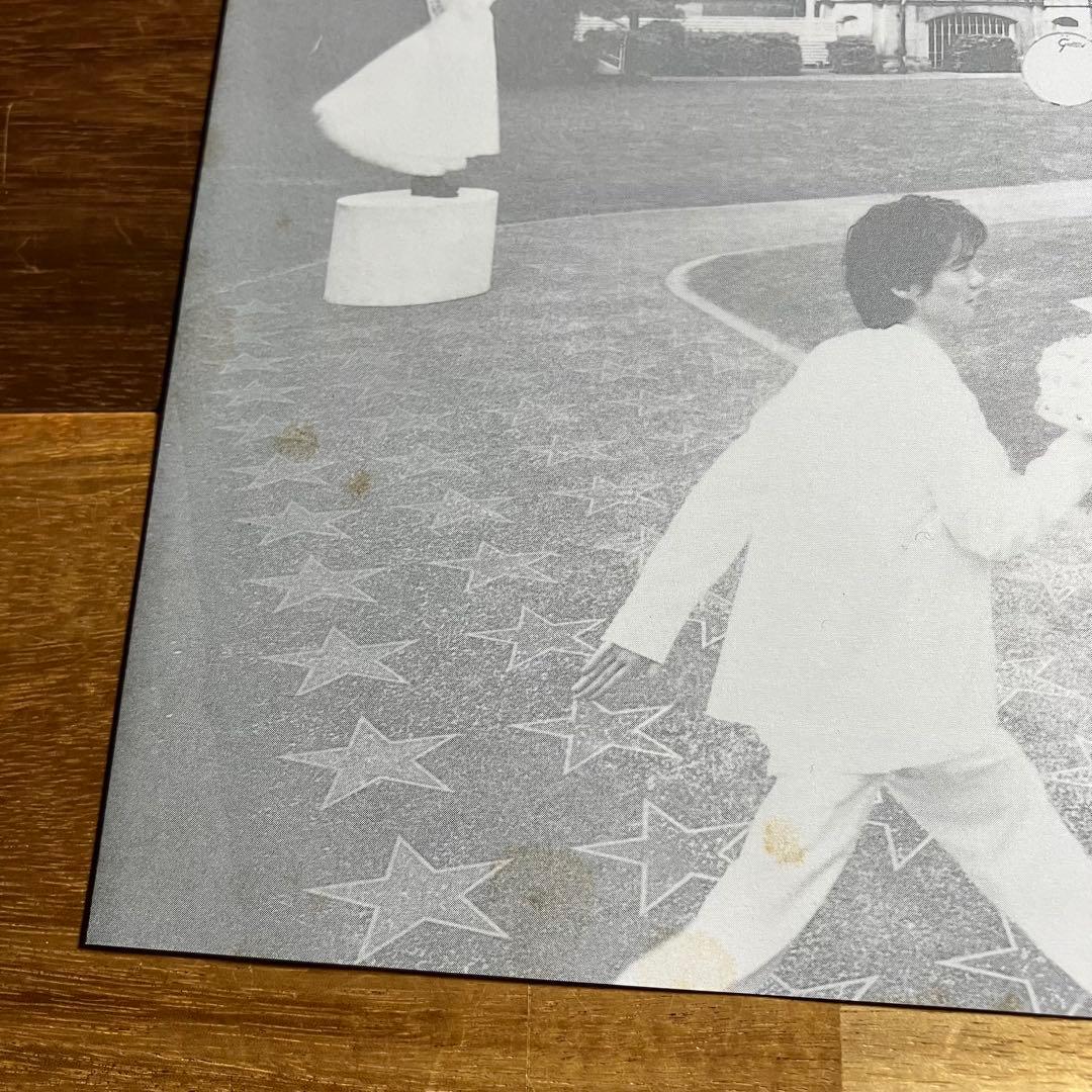 LP　サザンオールスターズ　「Young Love」　レコード　アナログ