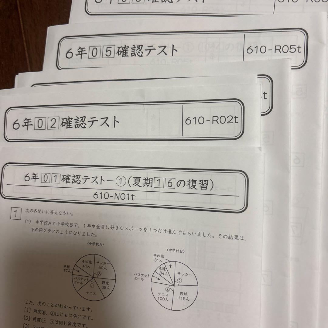 グノーブル小6 算数基本の確認　プリントおまけ付き
