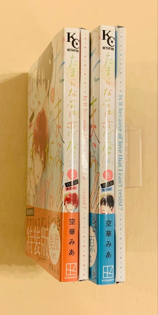 たまらないのは恋なのか　5巻　特装版2冊