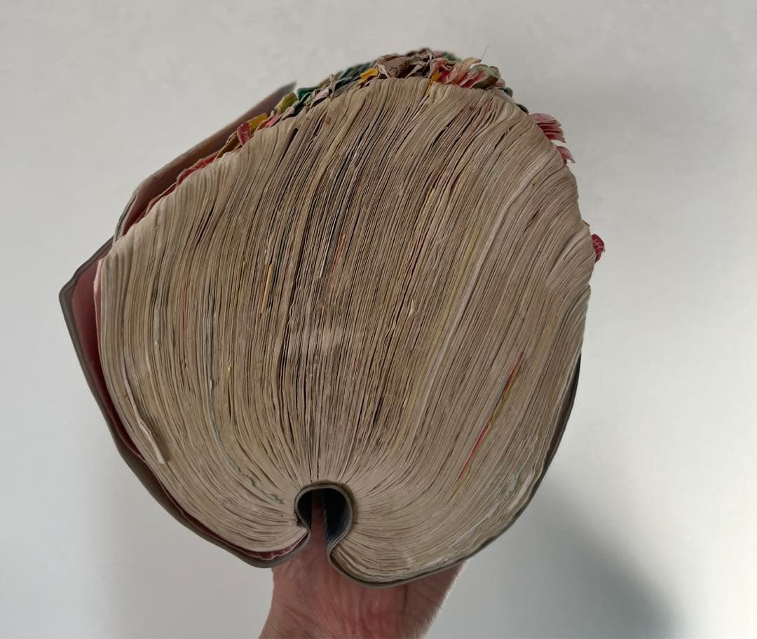 看護師　看護　参考書　レビューブック　国家試験　看護師国家試験