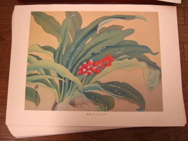 瑞月草花画譜　池田瑞月　限定700部