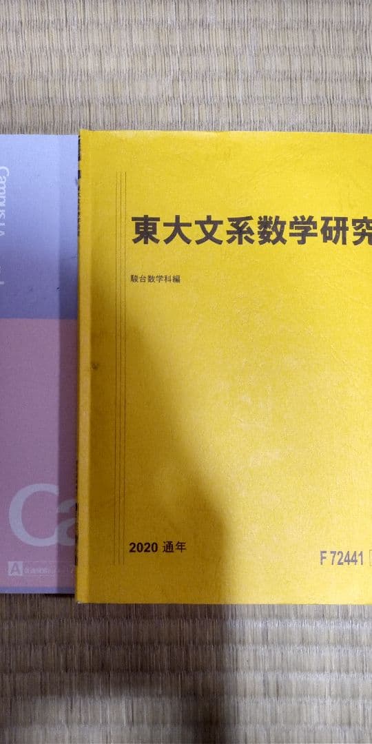 米村明芳 20年度 東大文系数学研究 通期講習