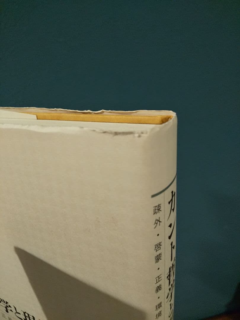 カント哲学と現代: 疎外・啓蒙・正義・環境・ジェンダー／杉田聡 ☆書込み無し保証