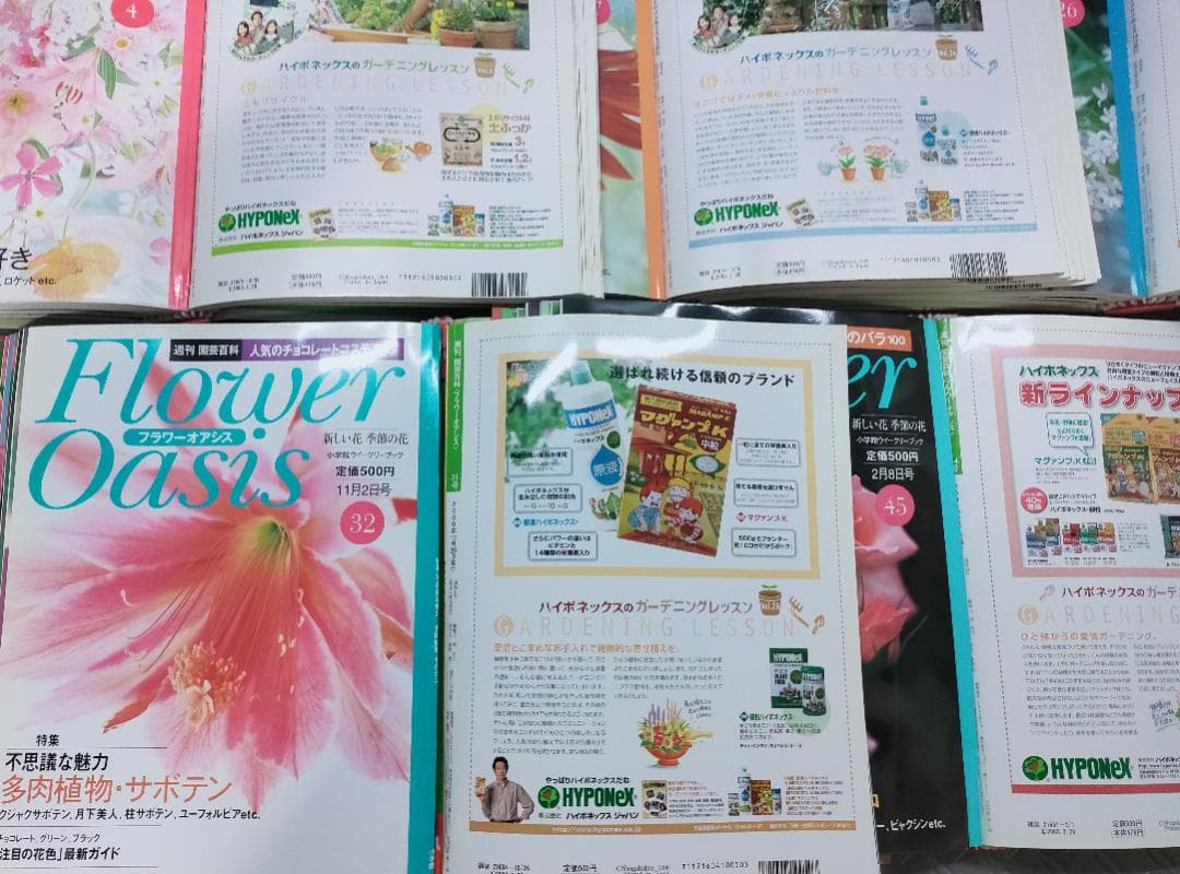 Flower Oasis 全5巻セット52冊　週刊・園芸百科　小学館