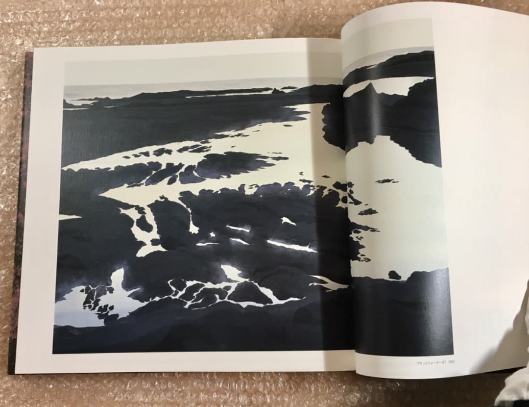 ○千住博 画集 水の音 小学館