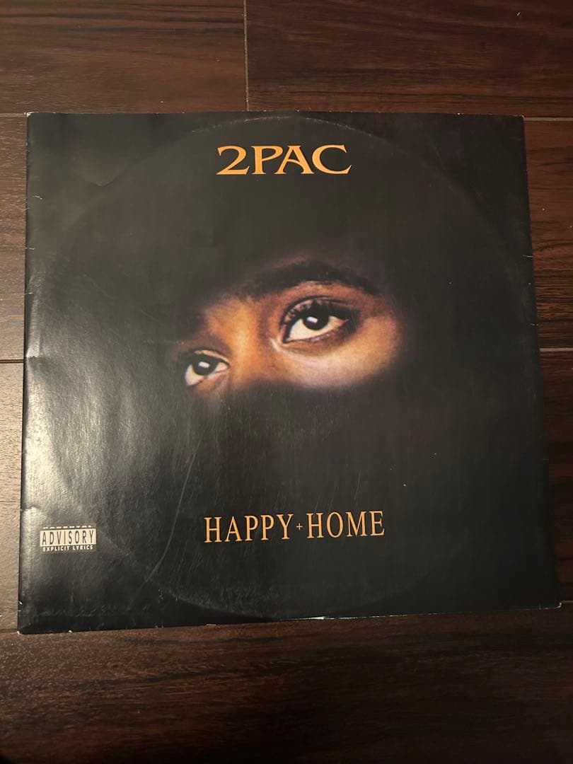 2Pac レコード9枚セット California Love・Changes等