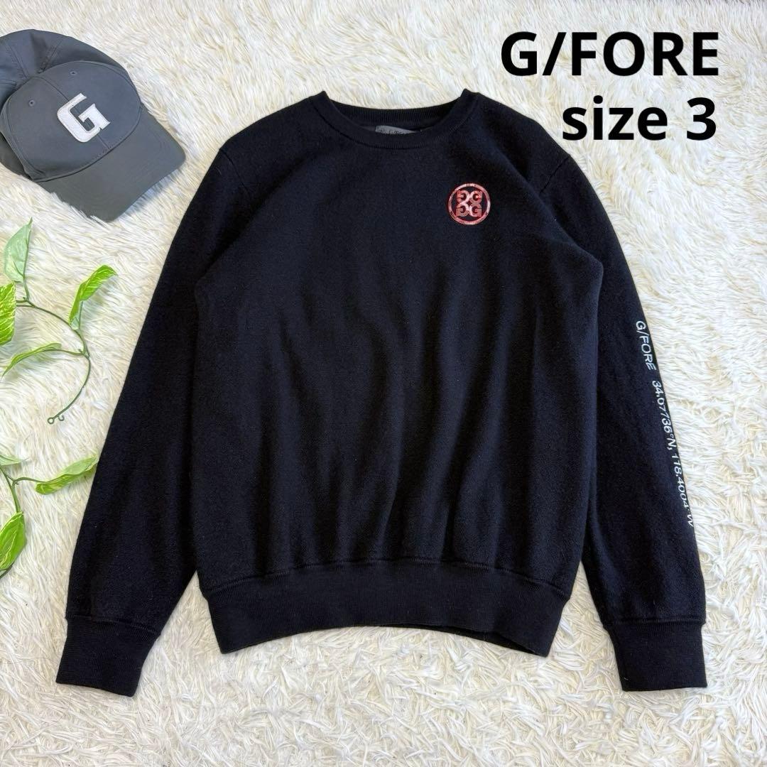【ジーフォア】美品 ニットセーター 裏地付 カシミヤ混 3サイズ メンズ