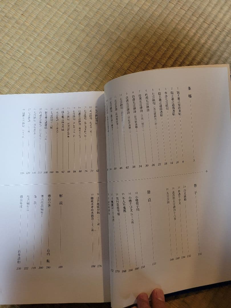 傳山の書法　山内観編