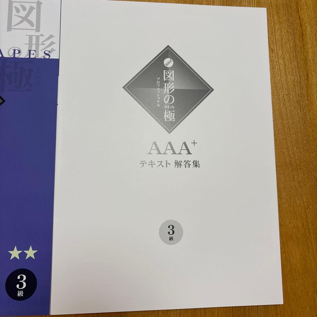 AAA 図形の極 Professional 前編後編セット 問題集＆解答集 新品