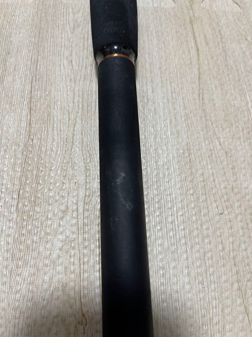 【Daiwa】LEADING-X SASOI 30-180 12/19限定