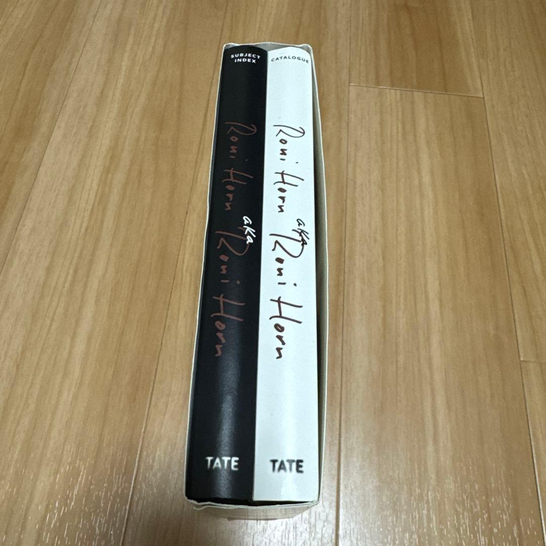 アート・デザイン・音楽 Roni Horn aka Roni Horn