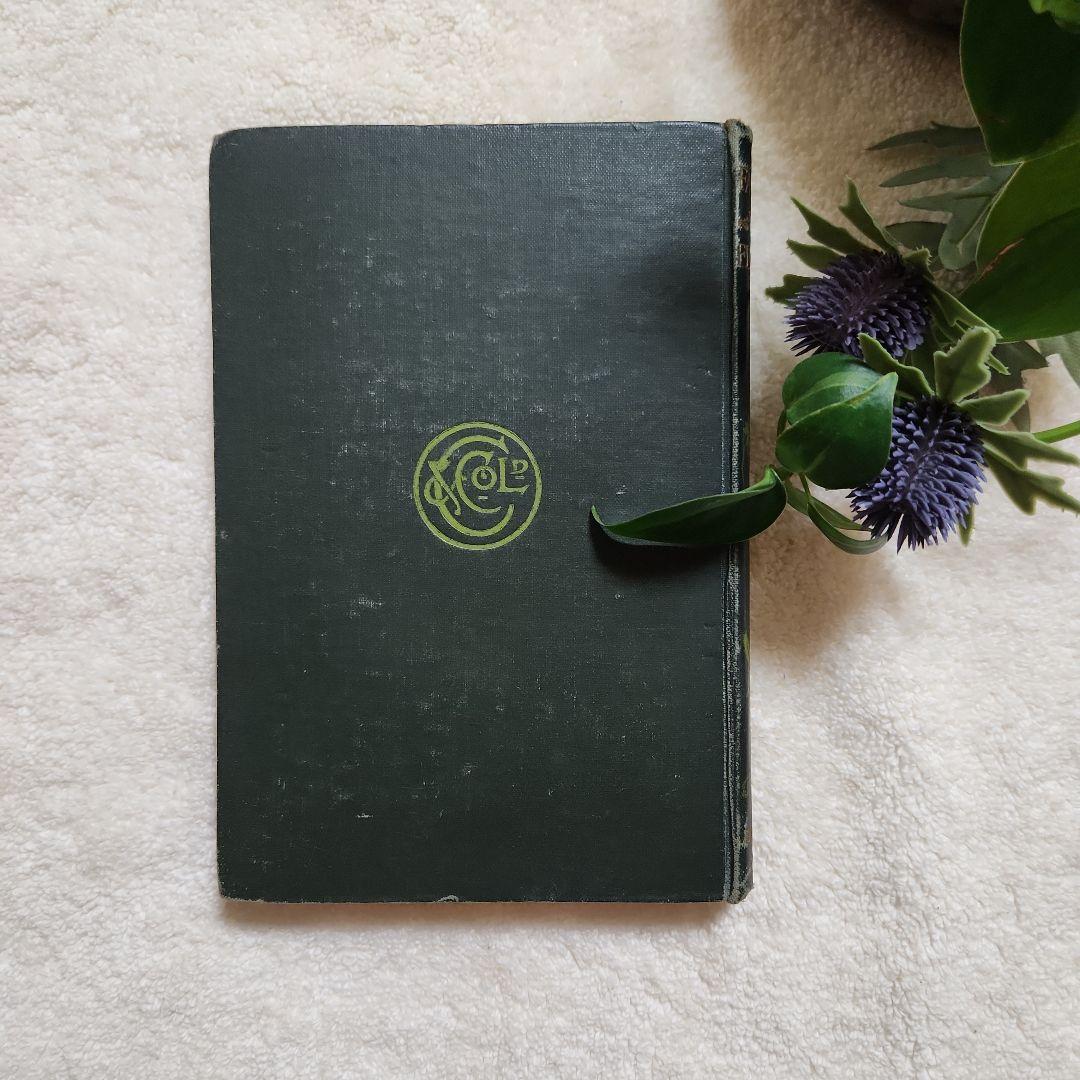 植物図鑑　洋書　古書　アンティーク　Familar Wild Flowers①