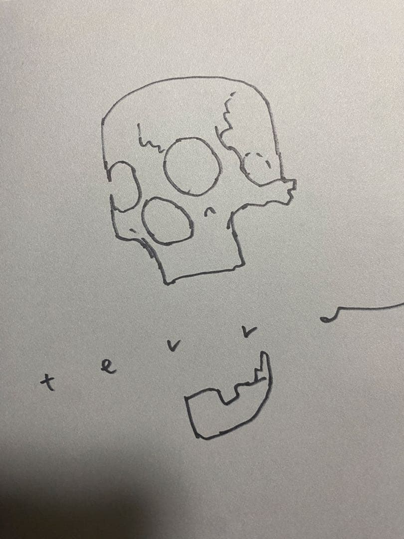 直筆イラスト入りサイン本 寺田克也 画集THIS AND THAT 限定版