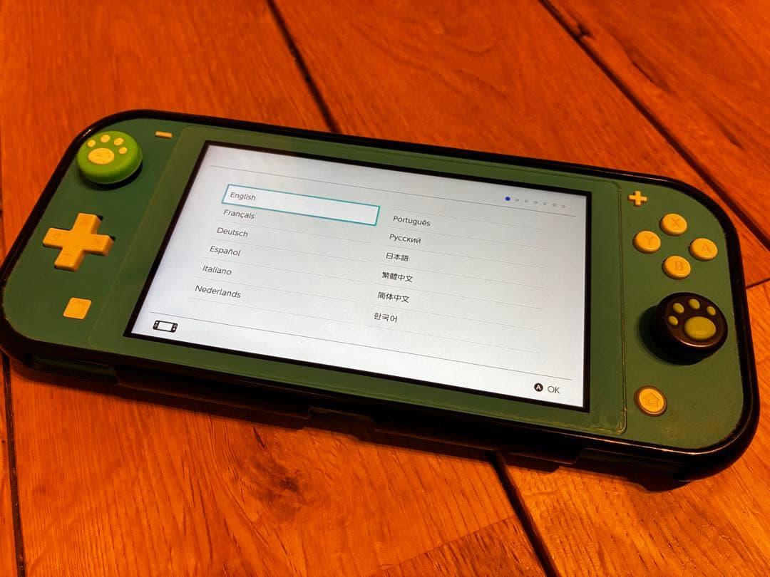 Nintendo Switch Lite ターコイズ　ケース付き