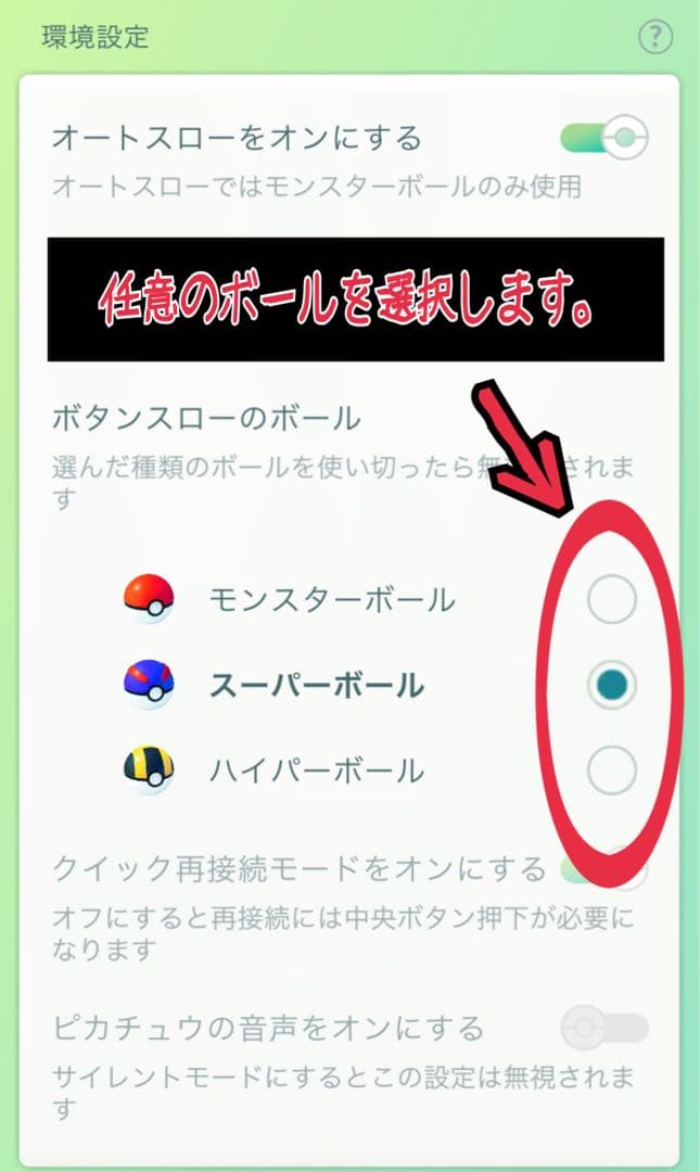 ちゅんページ　pokemon go plus ＋