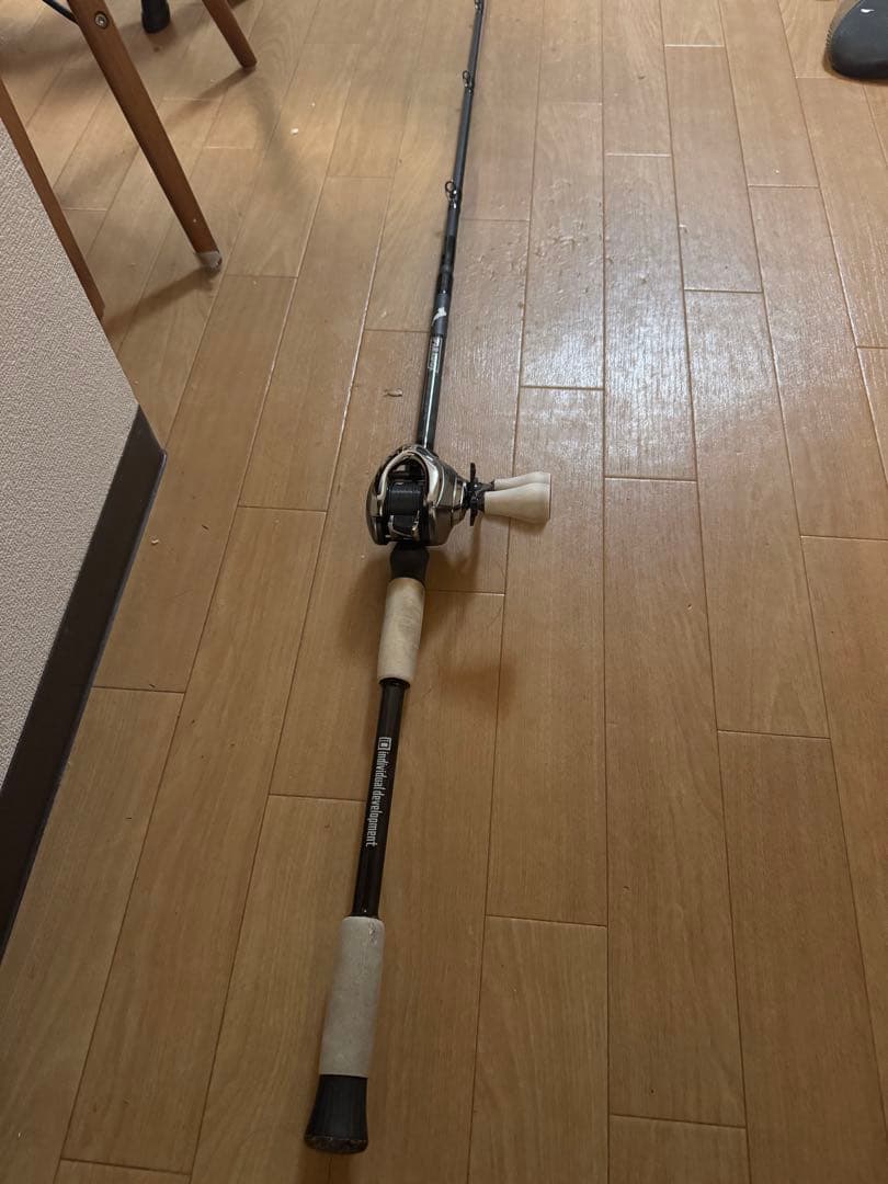 individual development パラドックス