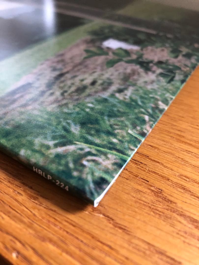 田中ヤコブ⭐︎2nd LP「おおきにどうぞ」レコード　家主