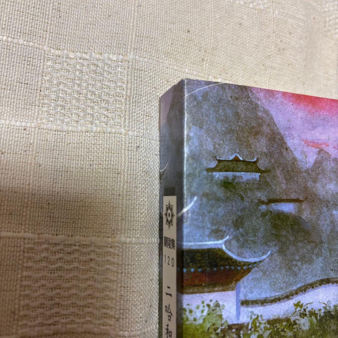 二哈和他的白猫師尊　繁体字　全巻BOX