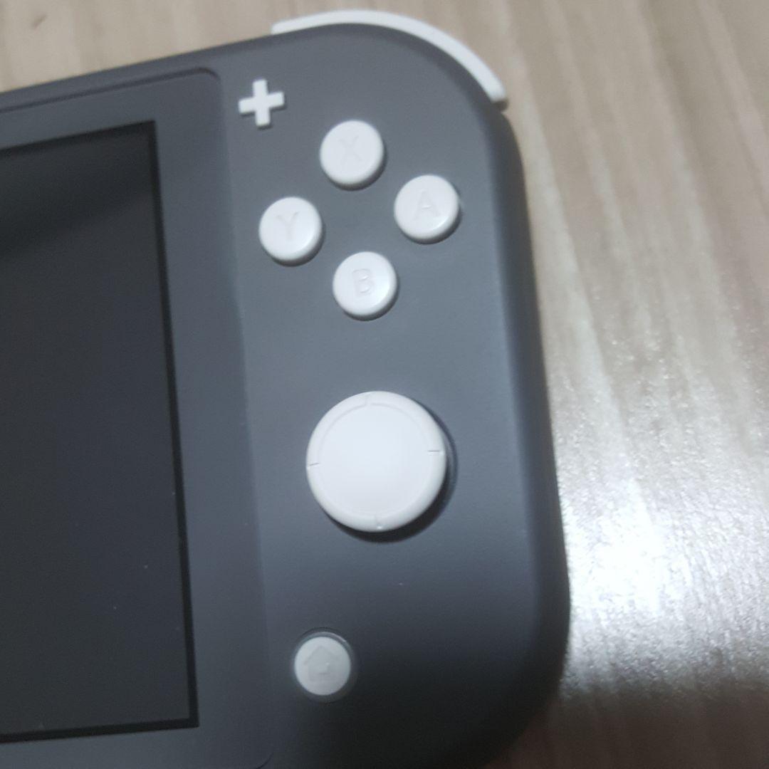 任天堂 スイッチ ライト SWITCH LITE あつまれどうぶつの森 セット