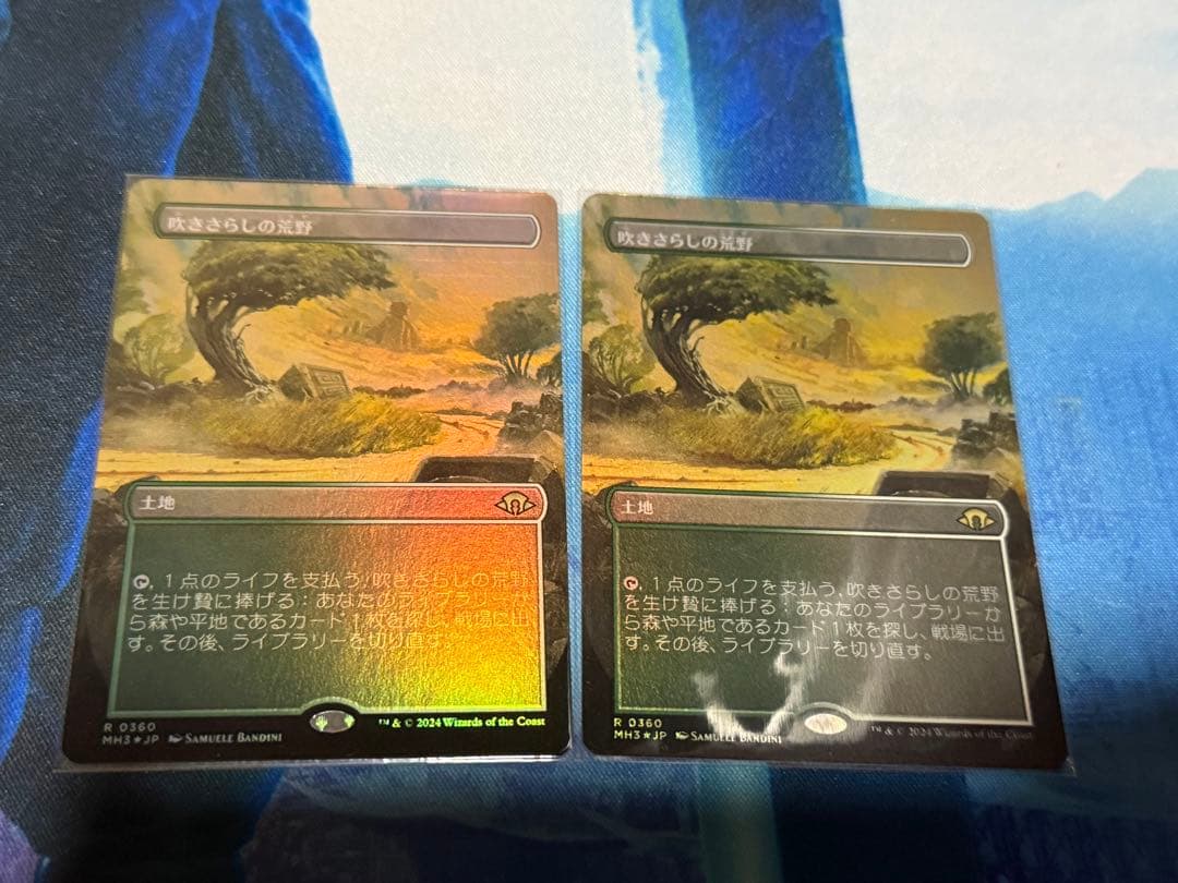 吹きさらしの荒野　ボーダレスfoil2枚セット　マジックザギャザリング
