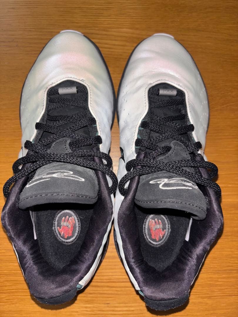 NIKE LEBRON XXXI EP レブロン 21 25.5cm