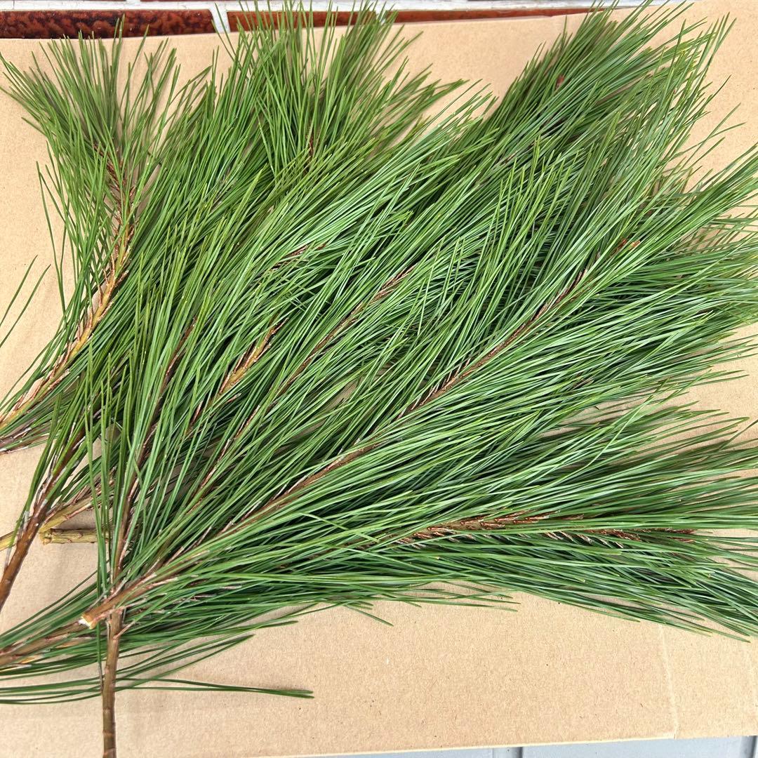 らんさま専用 門松 ハンドメイド 世界で一点物　無農薬 自然素材 超特大一対2個