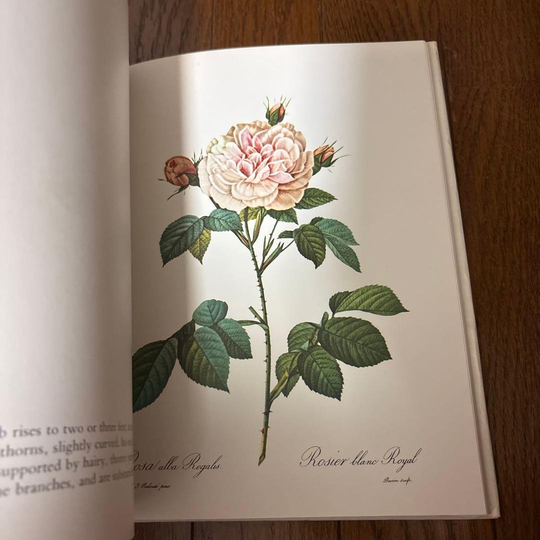 P.J. REDOUTÉ Roses アートブック