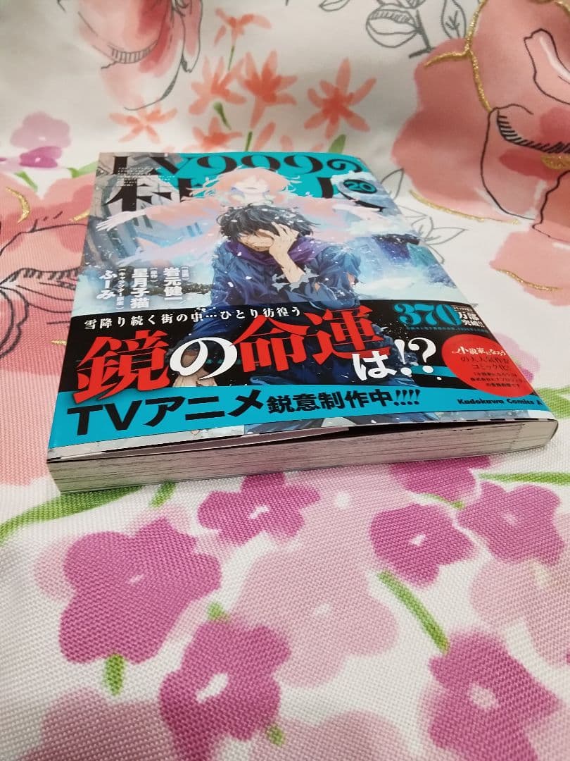 LV 999の村人20巻です❣️
