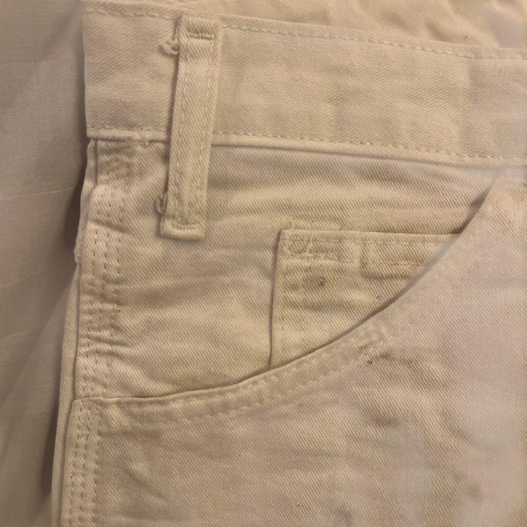 w32 Sherwin Williams dickies ワークパンツ