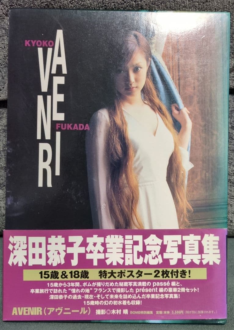 写真集　16冊　深田恭子　高橋愛　南明菜　後藤真希　渡辺梨加　安田美沙子　欅坂