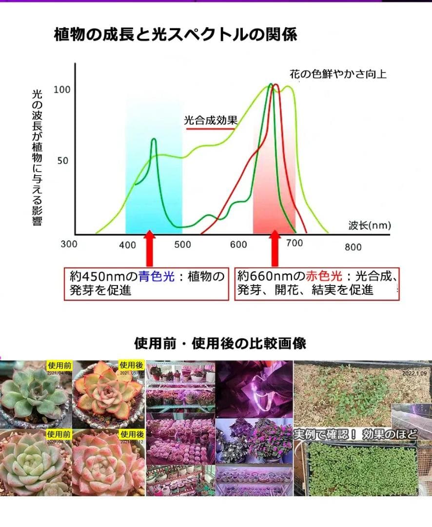 植物育成ライト LED 10m 二列式 180smd/1m 観葉植物育成ライト