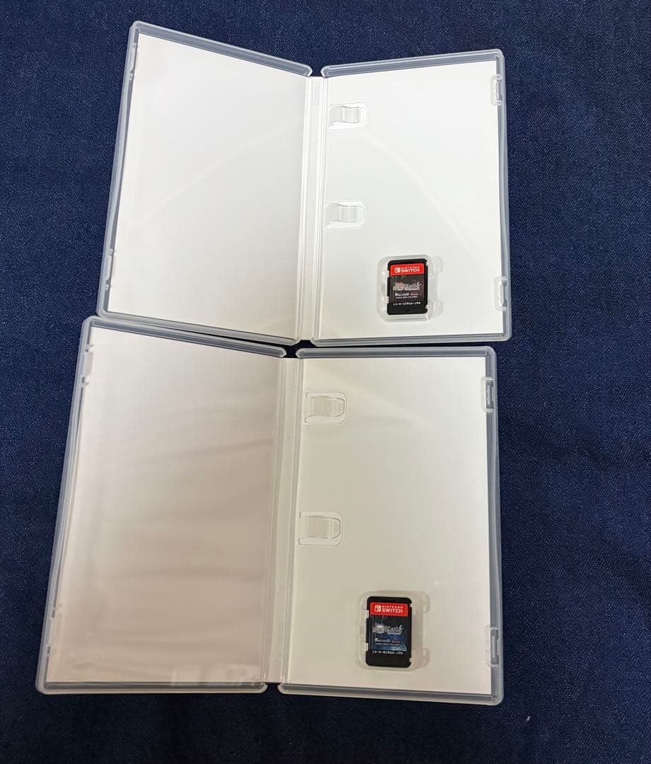 終遠のヴィルシュ 終ヴィル Switch ソフト 2本セット