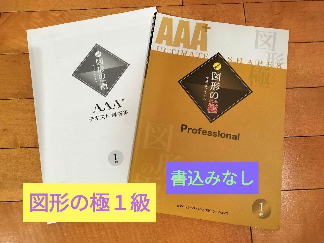 AAA+ 図形の極 1 Professional