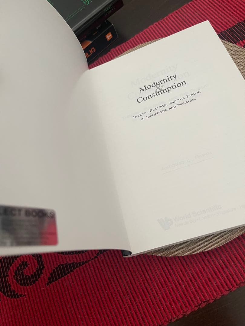 洋書 Modernity & Consumption Antonio L. Rappa