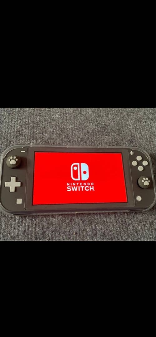 Nintendo Switch Lite　グレー