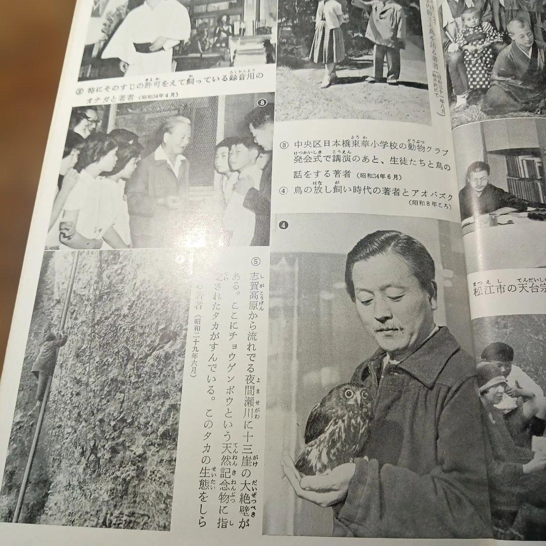 中西悟堂集　新日本少年少女文学全集