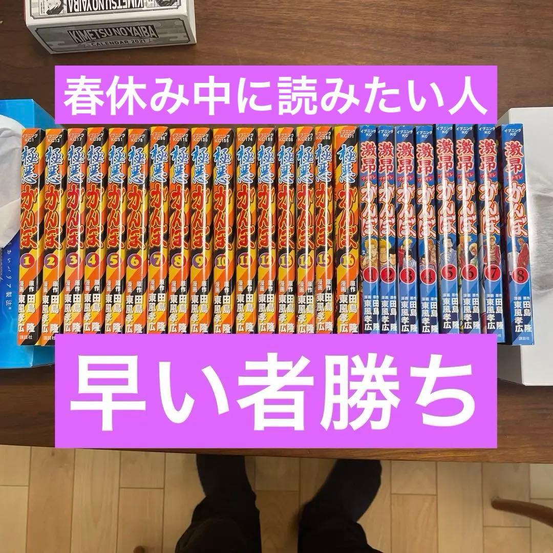 がんぼ　極悪　激昂　全巻