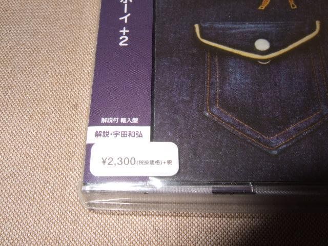 PAUL DAVIS,新品,国内盤,ポール・デイヴィス,SSW,AOR