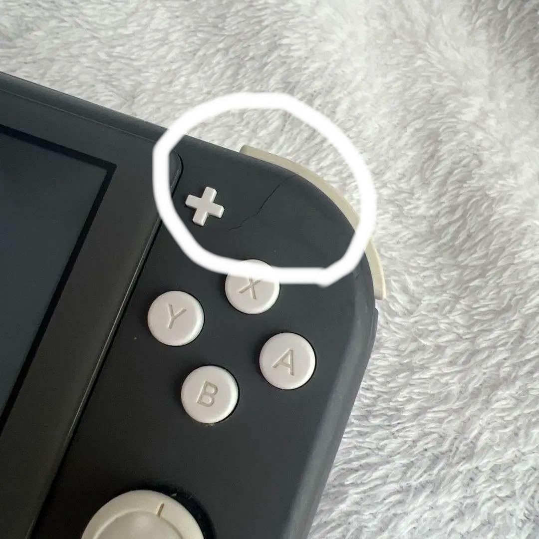 Nintendo Switch Lite グレー 本体 2021年製