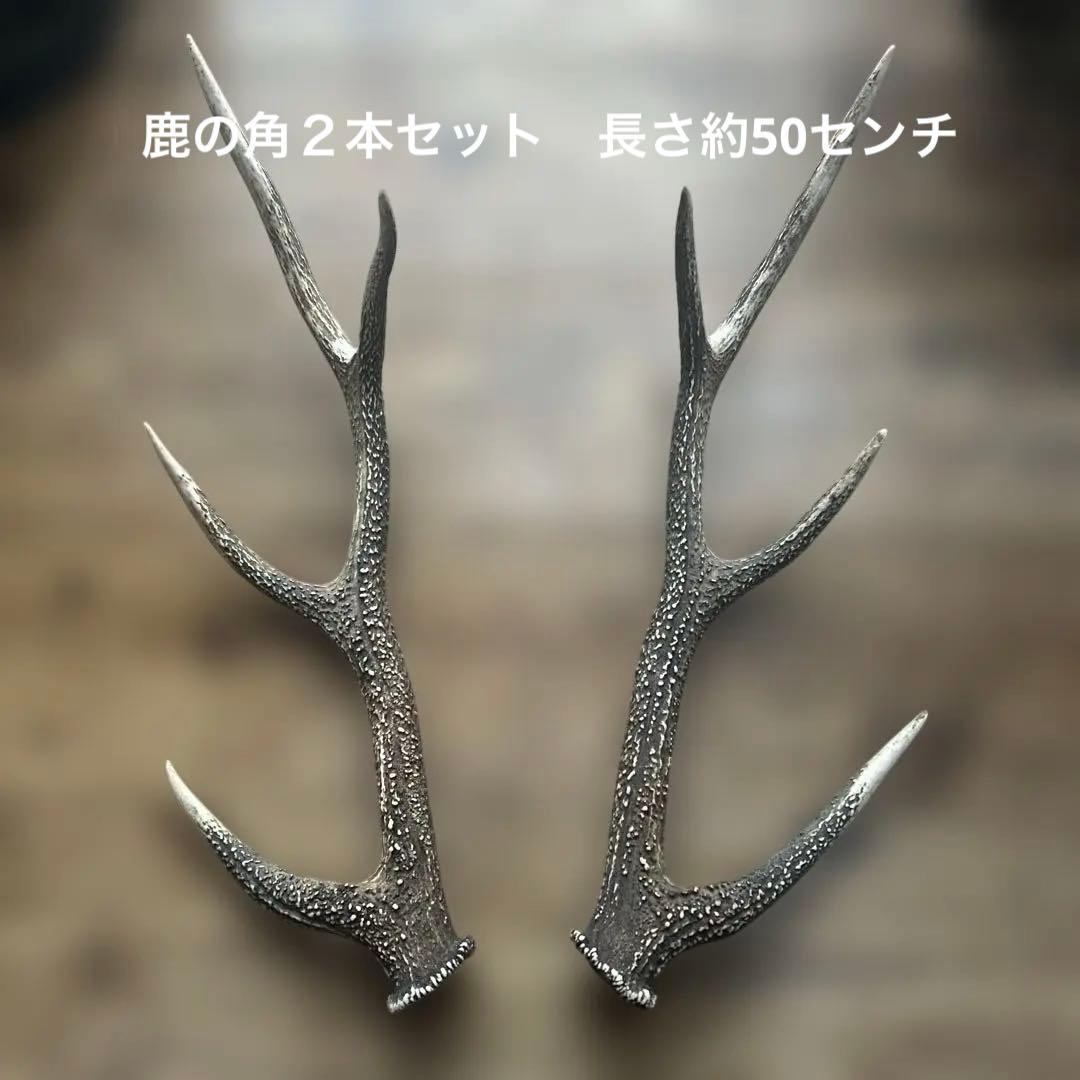 山で拾った鹿の角　２本セット