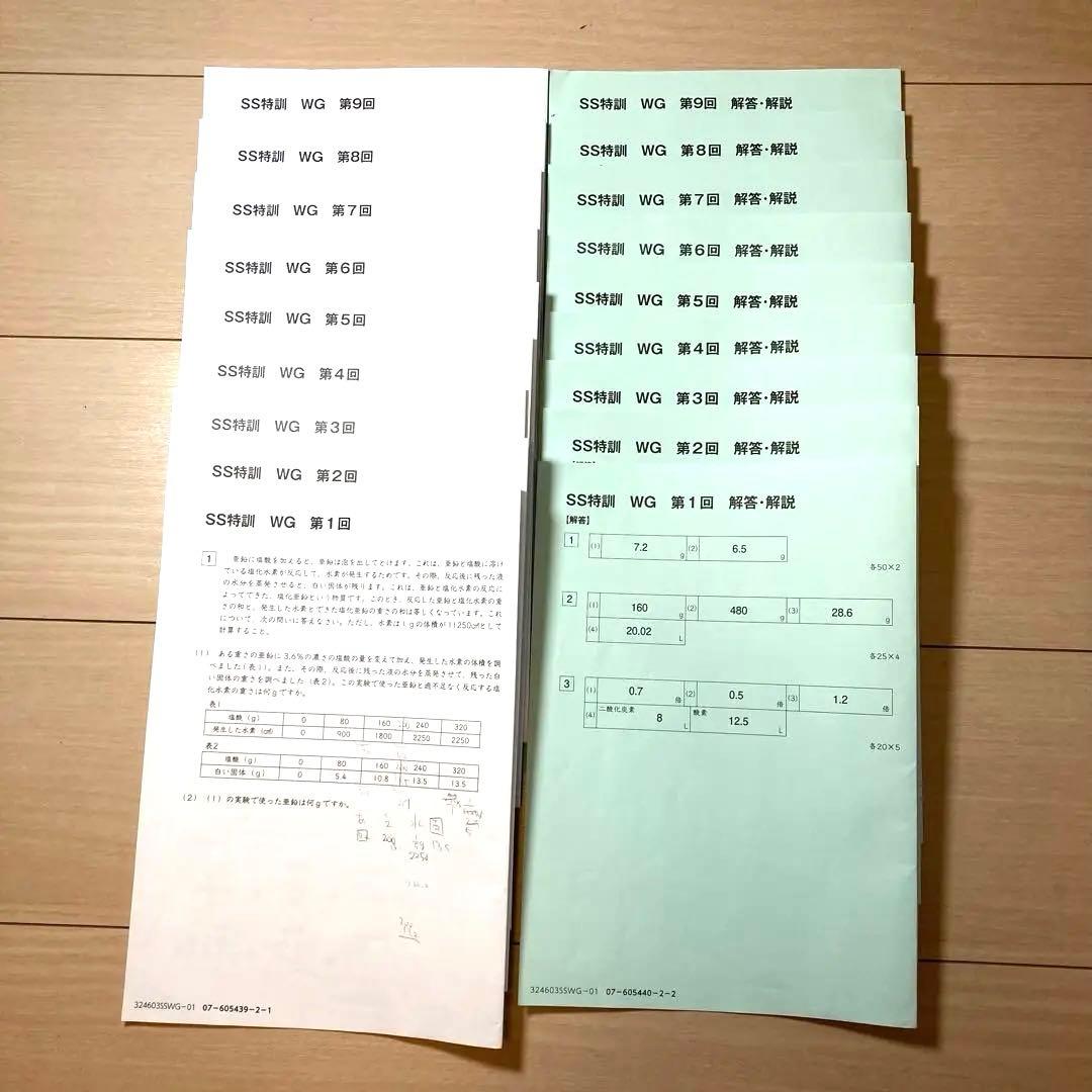 2025年2月終了　SS開成　理科,社会セット