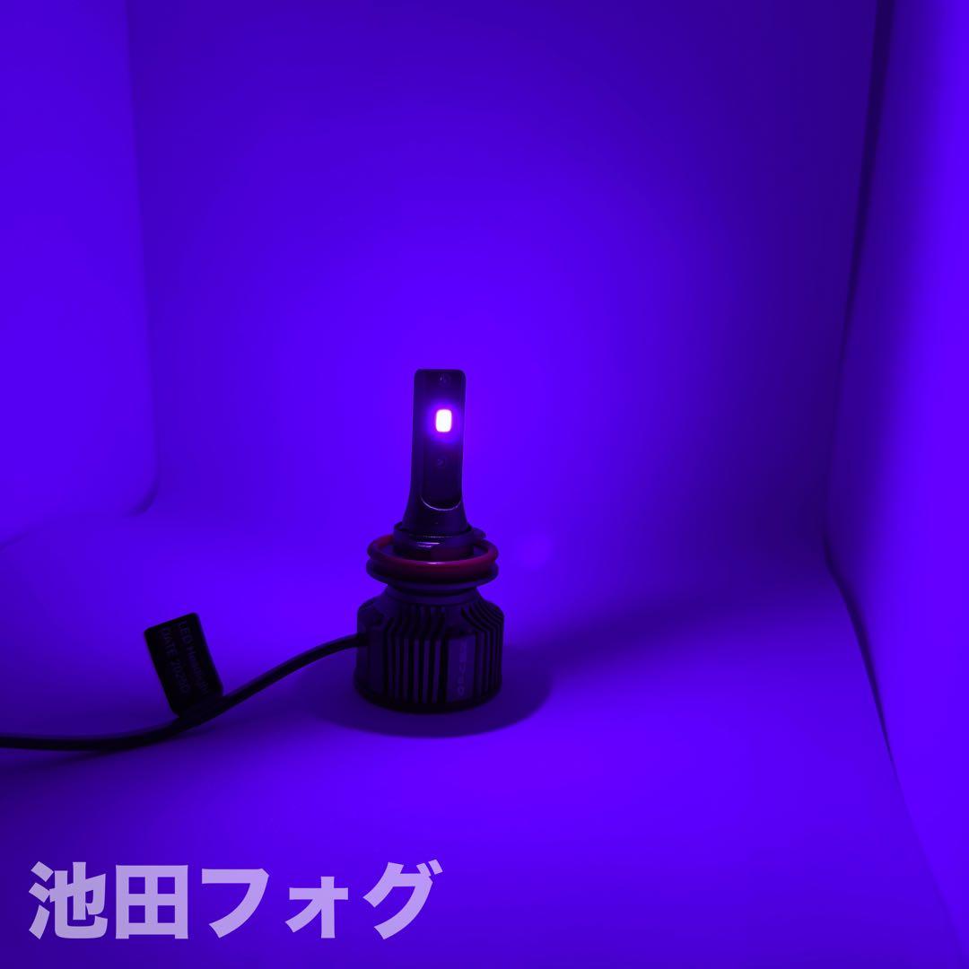 H8 H11 H16 パープルフォグランプ 爆光20000lm!!池田フォグ