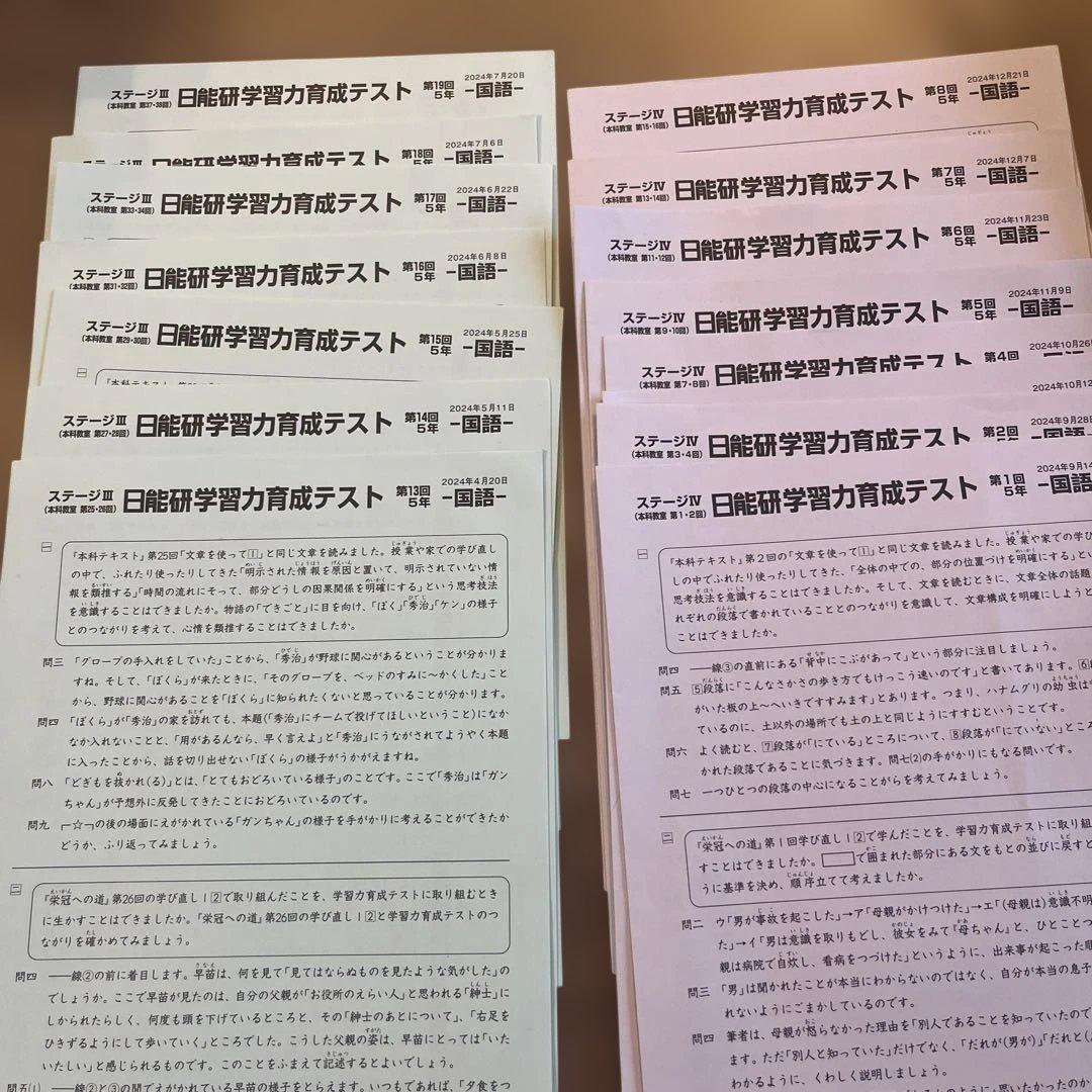 日能研 学習力育成テスト　2024年度　５年生　15回分　２科目　国語　算数