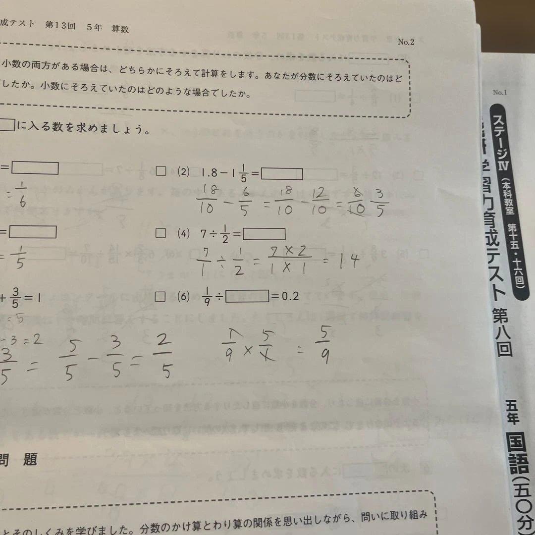 日能研 学習力育成テスト　2024年度　５年生　15回分　２科目　国語　算数